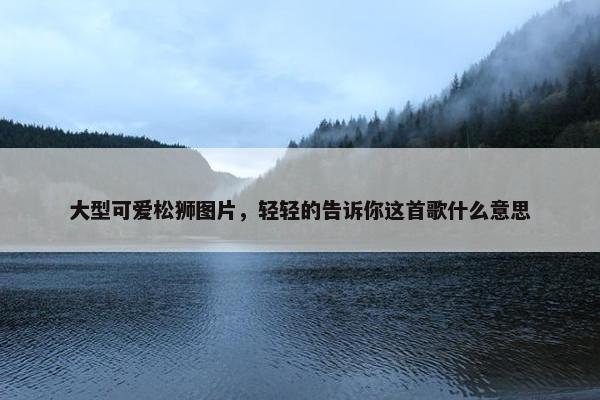 大型可爱松狮图片，轻轻的告诉你这首歌什么意思