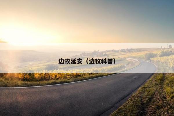 边牧延安（边牧科普）
