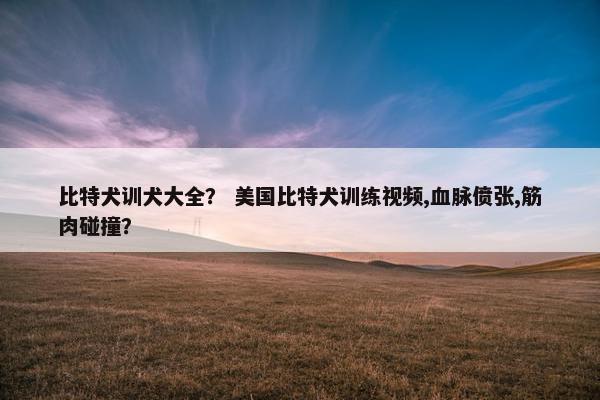 比特犬训犬大全？ 美国比特犬训练视频,血脉偾张,筋肉碰撞？
