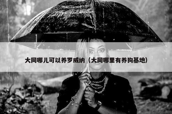 大同哪儿可以养罗威纳（大同哪里有养狗基地）