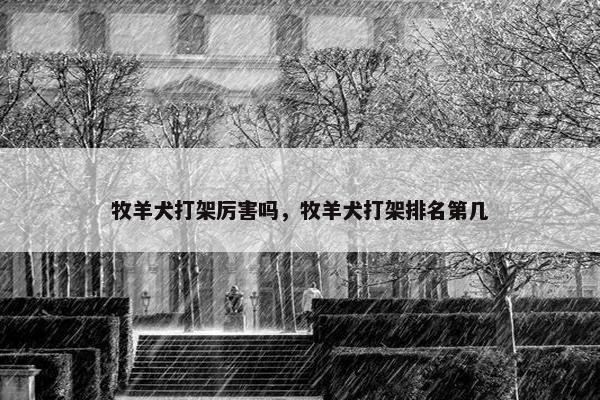 牧羊犬打架厉害吗，牧羊犬打架排名第几