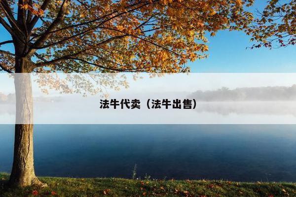法牛代卖（法牛出售）