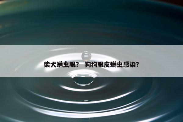 柴犬螨虫眼？ 狗狗眼皮螨虫感染？