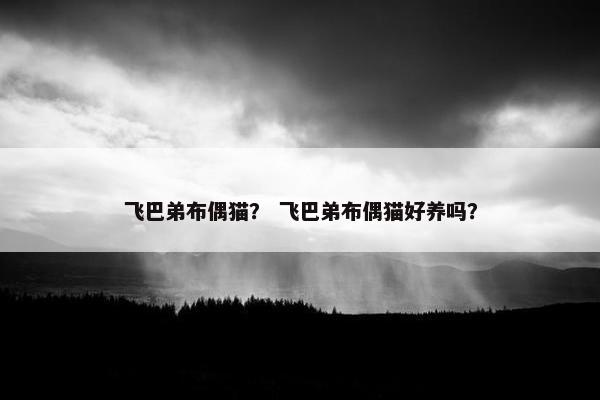 飞巴弟布偶猫？ 飞巴弟布偶猫好养吗？