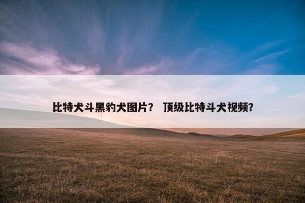比特犬斗黑豹犬图片？ 顶级比特斗犬视频？