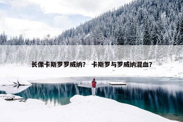 长像卡斯罗罗威纳？ 卡斯罗与罗威纳混血？