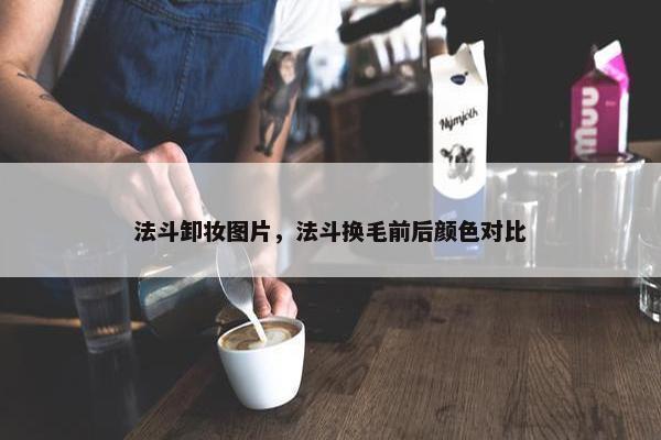 法斗卸妆图片，法斗换毛前后颜色对比