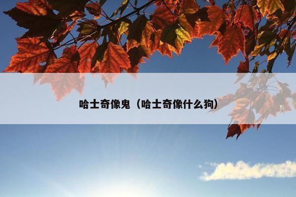 哈士奇像鬼（哈士奇像什么狗）