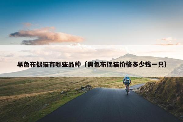 黑色布偶猫有哪些品种（黑色布偶猫价格多少钱一只）