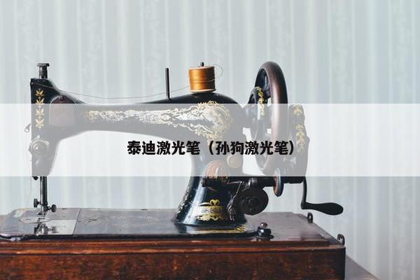 泰迪激光笔（孙狗激光笔）