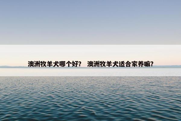 澳洲牧羊犬哪个好？ 澳洲牧羊犬适合家养嘛？