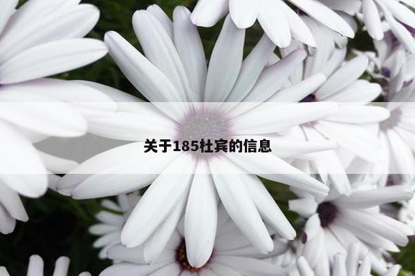 关于185杜宾的信息