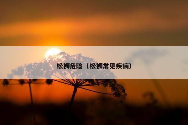 松狮危险（松狮常见疾病）