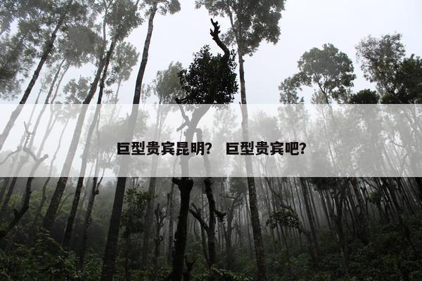 巨型贵宾昆明？ 巨型贵宾吧？
