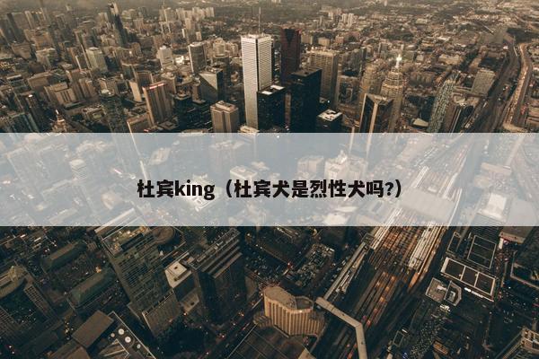 杜宾king（杜宾犬是烈性犬吗?）