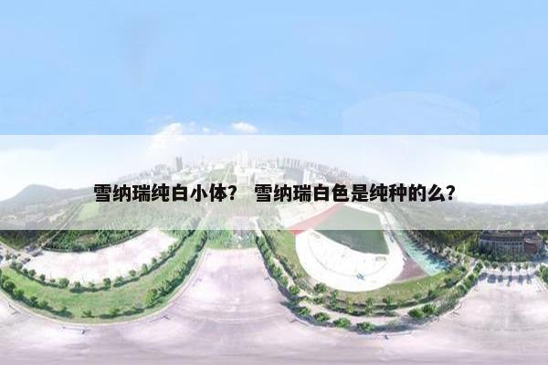 雪纳瑞纯白小体？ 雪纳瑞白色是纯种的么？