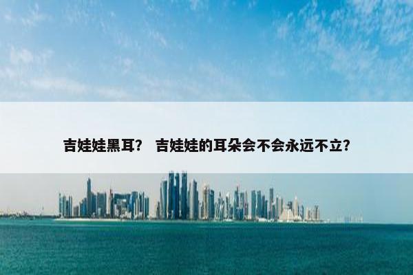 吉娃娃黑耳？ 吉娃娃的耳朵会不会永远不立？