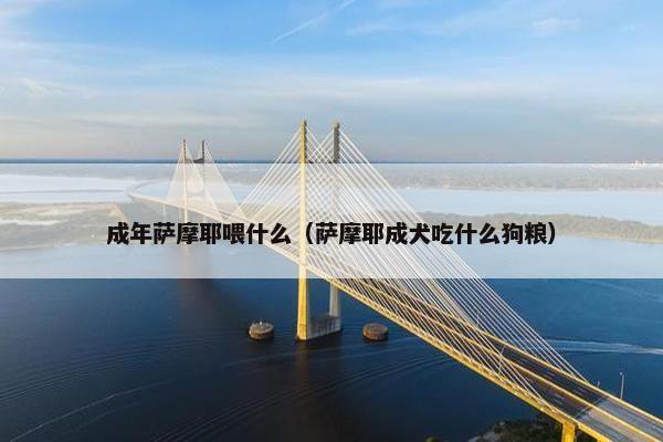 成年萨摩耶喂什么（萨摩耶成犬吃什么狗粮）