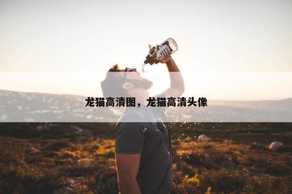 龙猫高清图，龙猫高清头像