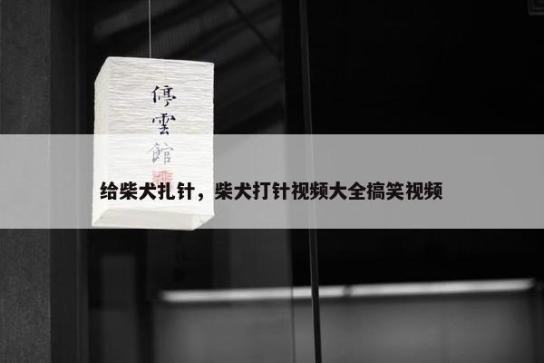 给柴犬扎针，柴犬打针视频大全搞笑视频