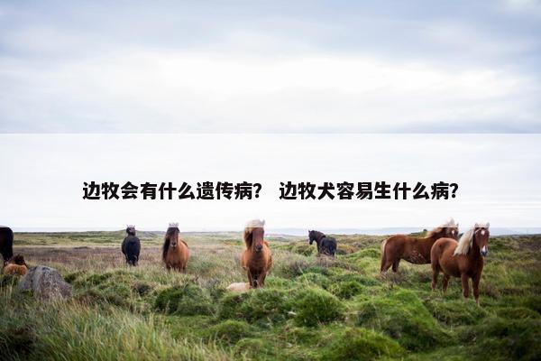 边牧会有什么遗传病？ 边牧犬容易生什么病？