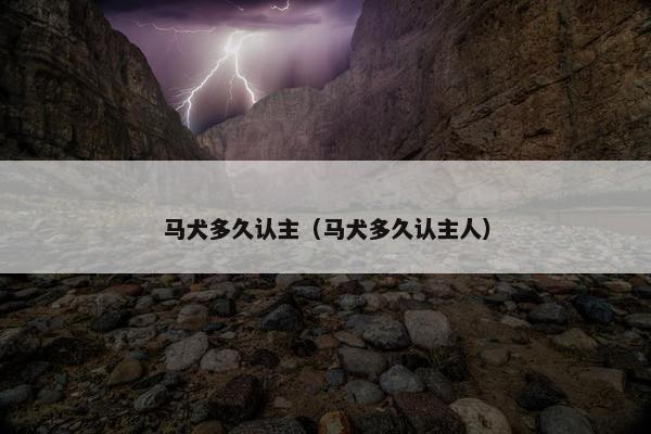 马犬多久认主（马犬多久认主人）
