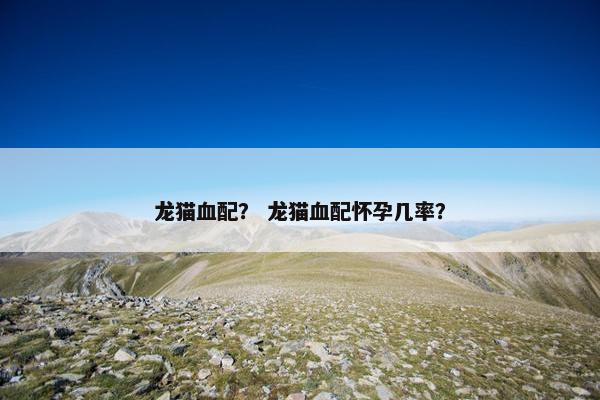 龙猫血配？ 龙猫血配怀孕几率？