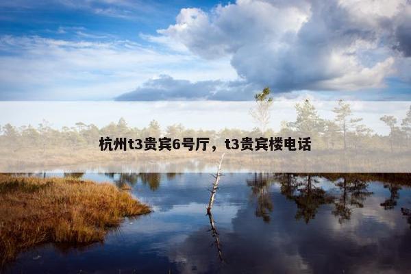 杭州t3贵宾6号厅，t3贵宾楼电话