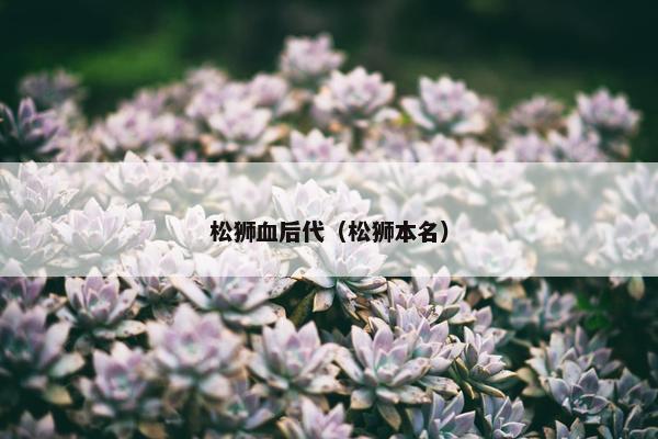 松狮血后代（松狮本名）