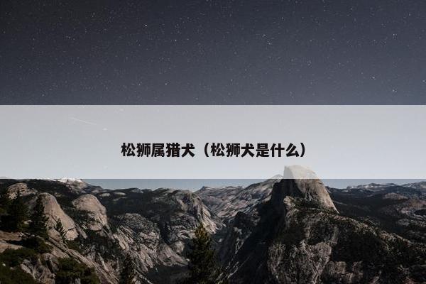 松狮属猎犬（松狮犬是什么）