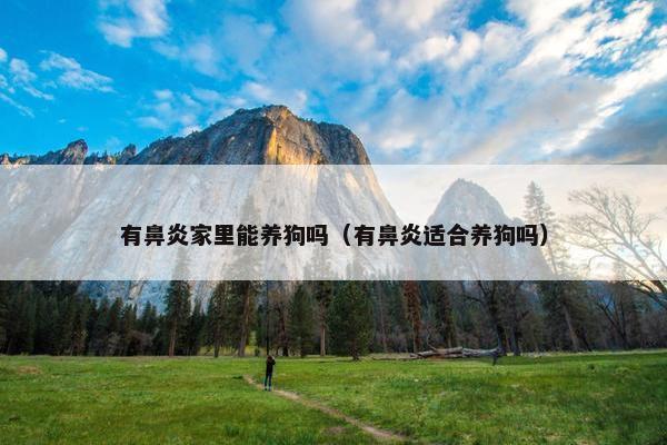 有鼻炎家里能养狗吗（有鼻炎适合养狗吗）