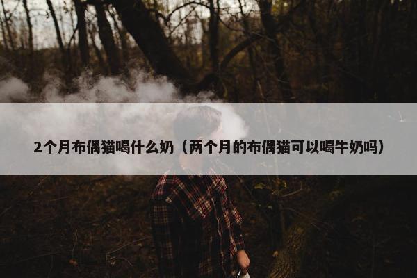 2个月布偶猫喝什么奶（两个月的布偶猫可以喝牛奶吗）