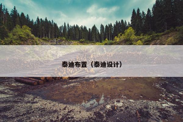 泰迪布置（泰迪设计）