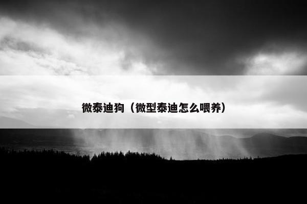 微泰迪狗（微型泰迪怎么喂养）