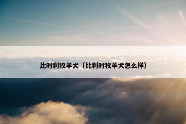 比时利牧羊犬（比利时牧羊犬怎么样）