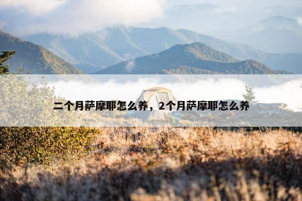 二个月萨摩耶怎么养，2个月萨摩耶怎么养