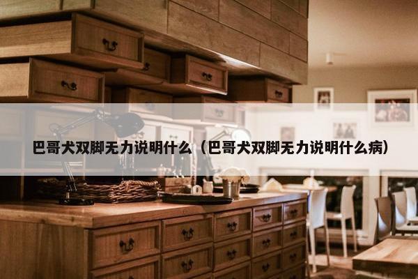 巴哥犬双脚无力说明什么（巴哥犬双脚无力说明什么病）