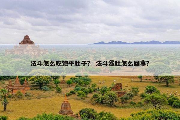 法斗怎么吃饱平肚子？ 法斗涨肚怎么回事？