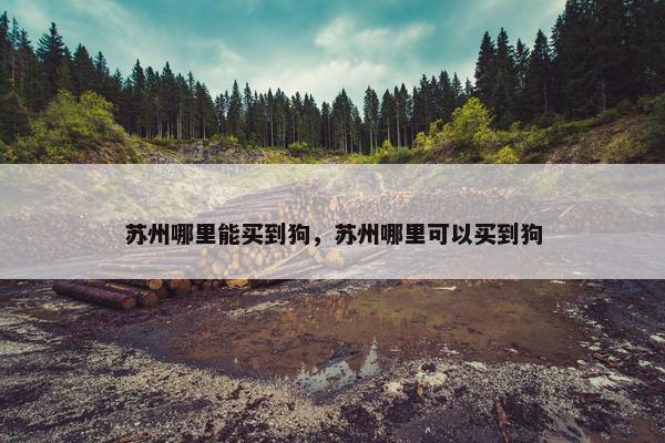 苏州哪里能买到狗，苏州哪里可以买到狗