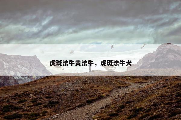 虎斑法牛黄法牛，虎斑法牛犬