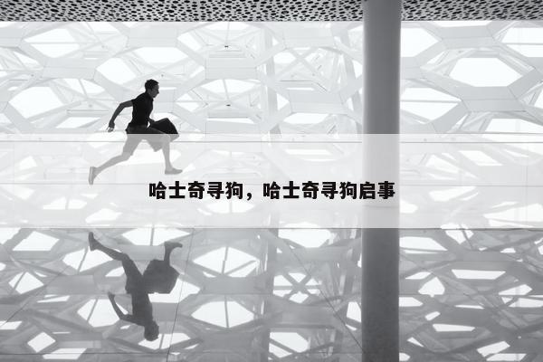 哈士奇寻狗，哈士奇寻狗启事