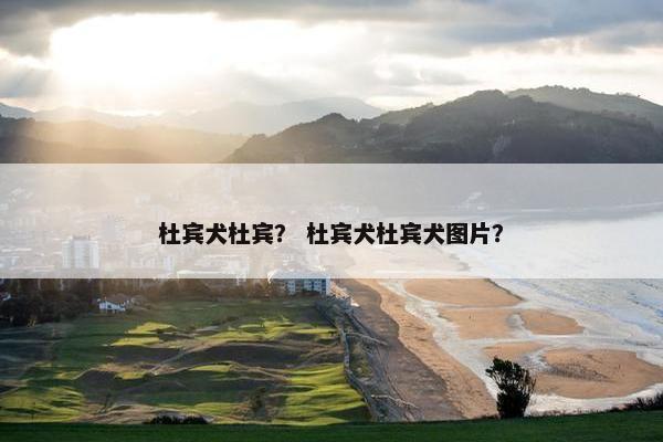 杜宾犬杜宾？ 杜宾犬杜宾犬图片？