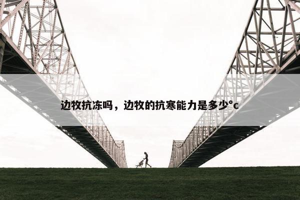 边牧抗冻吗，边牧的抗寒能力是多少°c