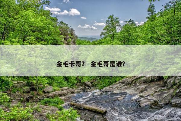 金毛卡哥？ 金毛哥是谁？