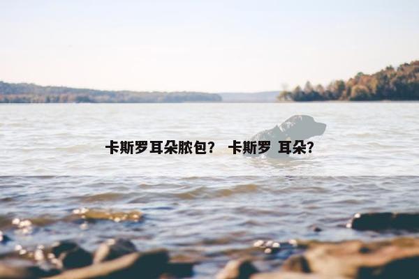 卡斯罗耳朵脓包？ 卡斯罗 耳朵？