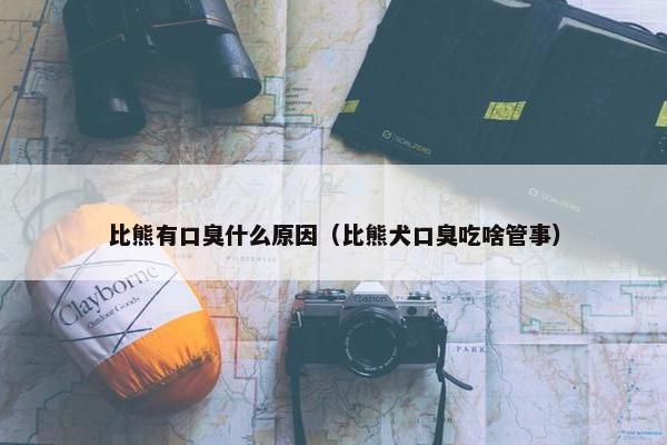 比熊有口臭什么原因（比熊犬口臭吃啥管事）