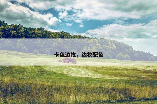 卡色边牧，边牧配色
