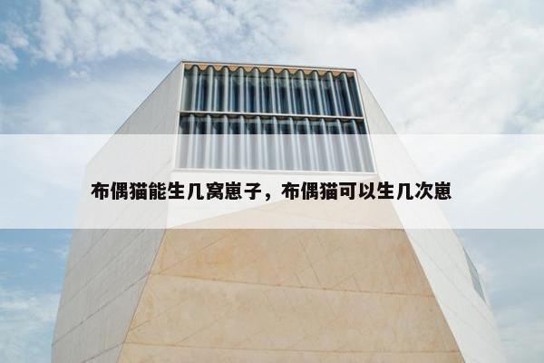 布偶猫能生几窝崽子，布偶猫可以生几次崽