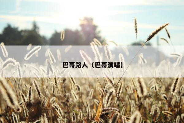 巴哥路人（巴哥演唱）