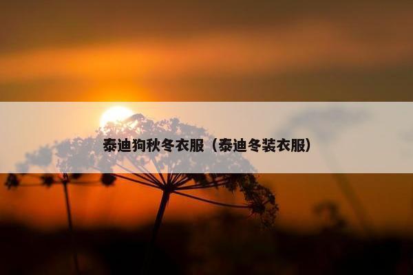 泰迪狗秋冬衣服（泰迪冬装衣服）